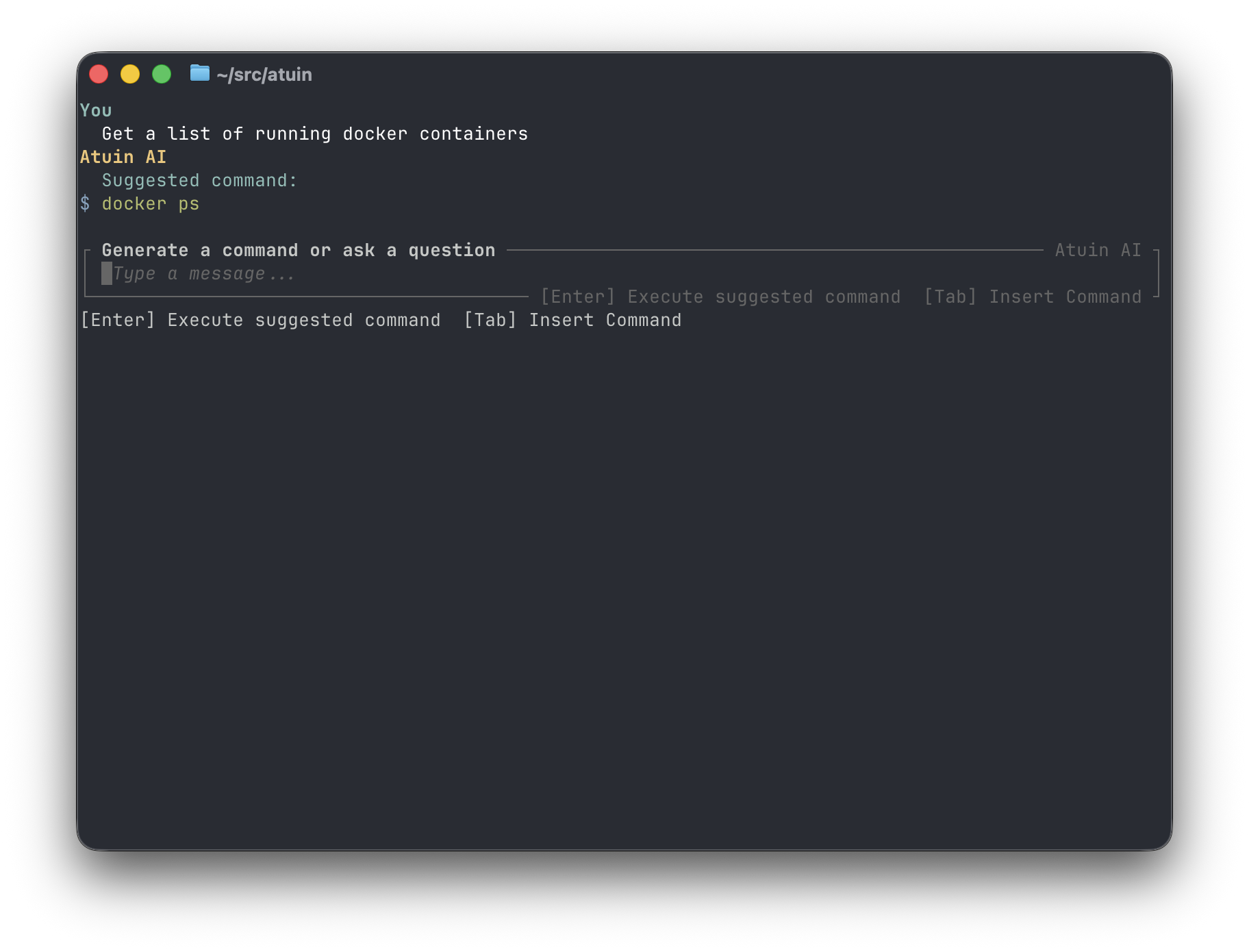 Basic Atuin AI usage